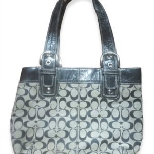 Elegant Ladies Handbag